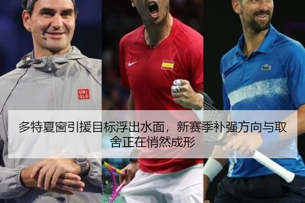 多特夏窗引援目标浮出水面，新赛季补强方向与取舍正在悄然成形（yuntiyu）